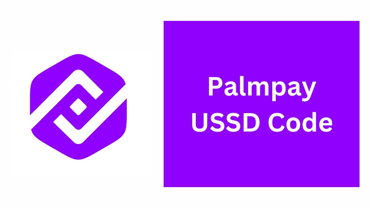 Palmpay USSD Code